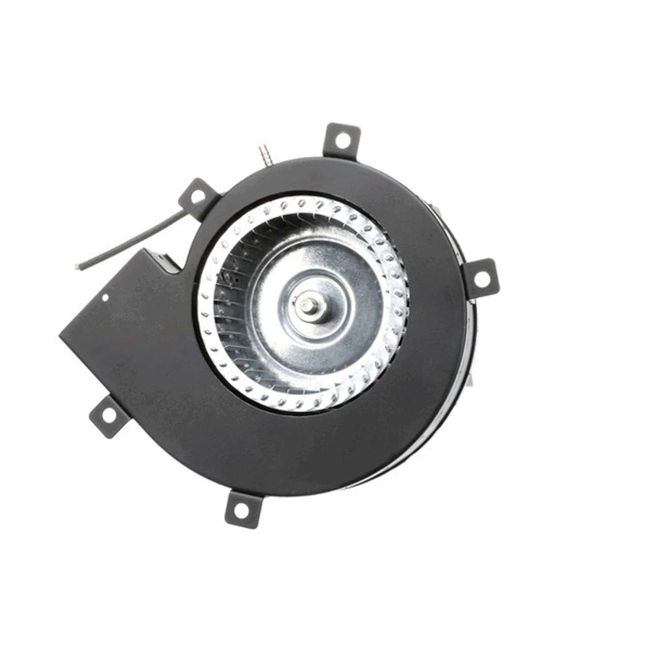 Blower Motor P5, LP ,115V.image